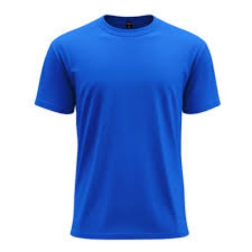Blue Color T Shirt