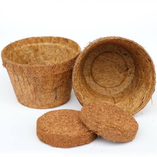 Coco Coir Basket