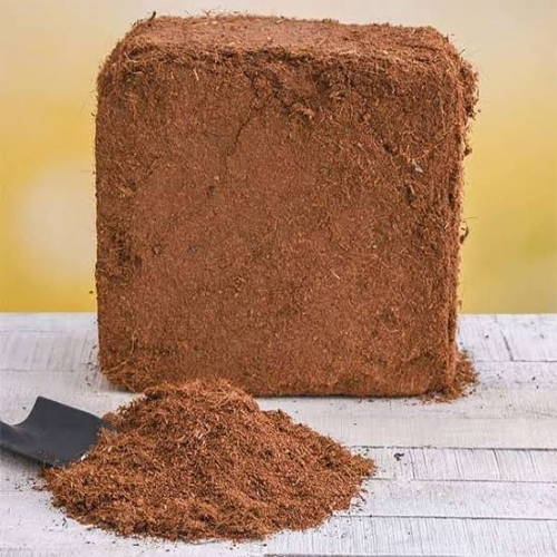 Eco Friendly Coco Peat Block