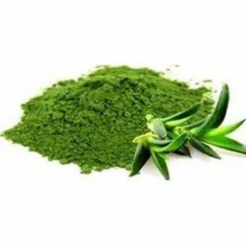 Aloe Vera Powder Extract