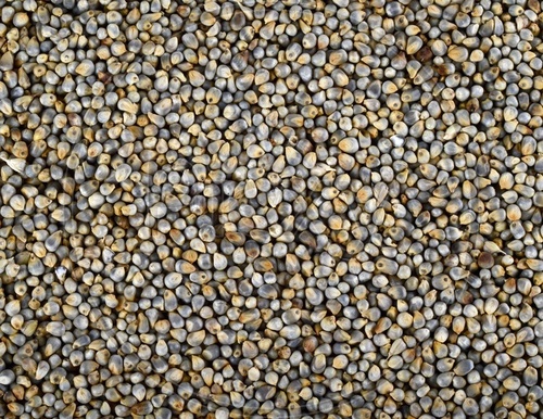 Cereal Grain - Admixture (%): 60