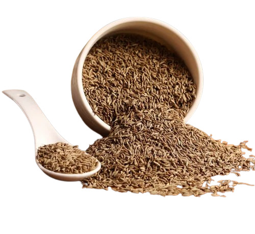 Cumin Seeds