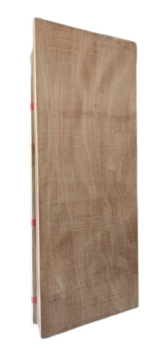 Wooden Flush Door