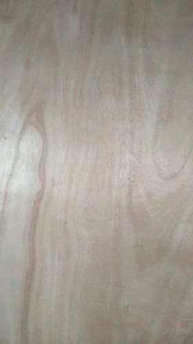 Wooden Flush Doors