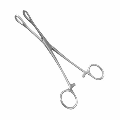 Sponge Holding Forceps 10 Inches