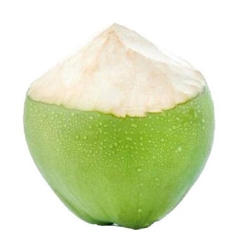 Tender Coconuts
