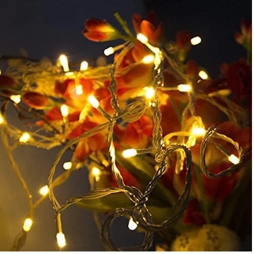 10M Lexton B08RF1L66Z LED String Light