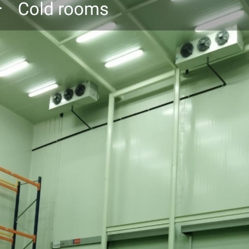 Cold Storage
