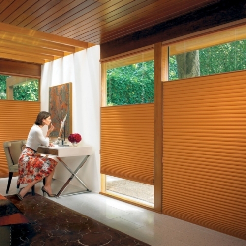 Brown Honey Comb Blinds