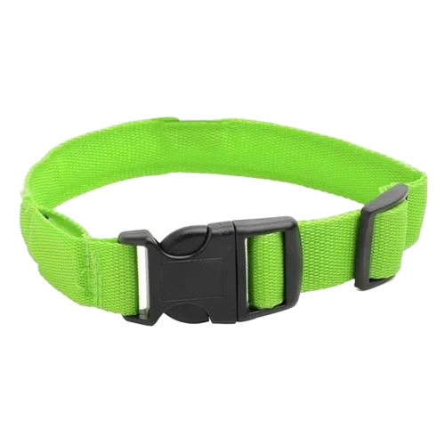 Led Dog Collar