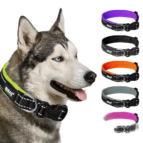 Premium Dog Collar