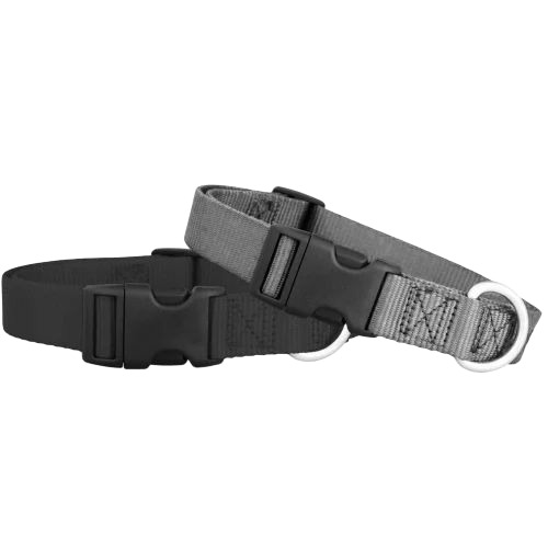 Puppy Grey Dog Collar