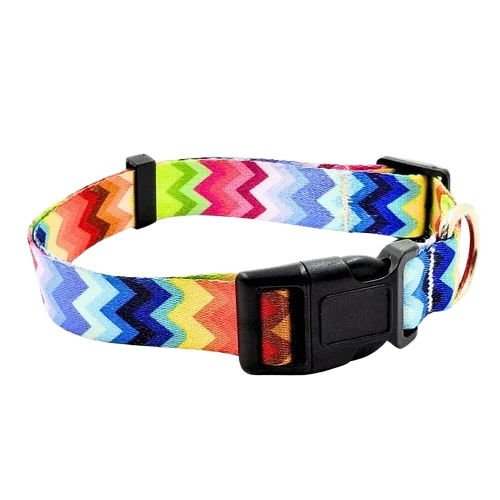 Rainbow Dog Collar