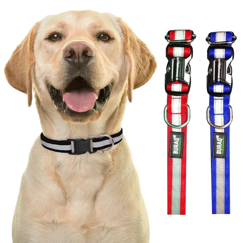 Reflective Dog Collar