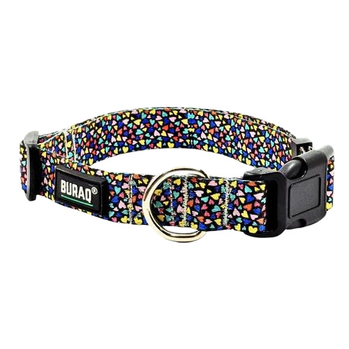 Spectrum Dog Collar