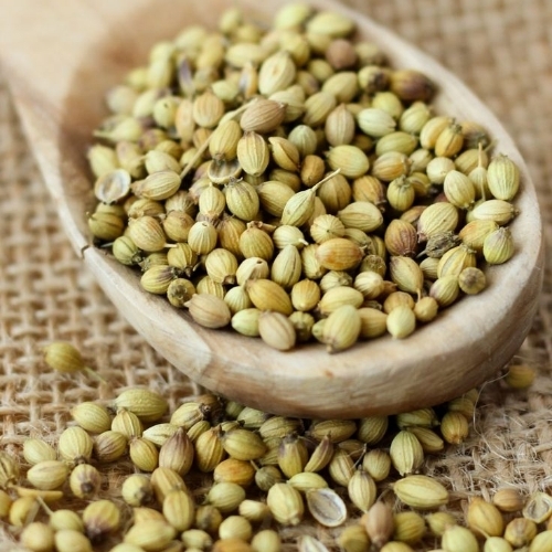 Corriender Seeds