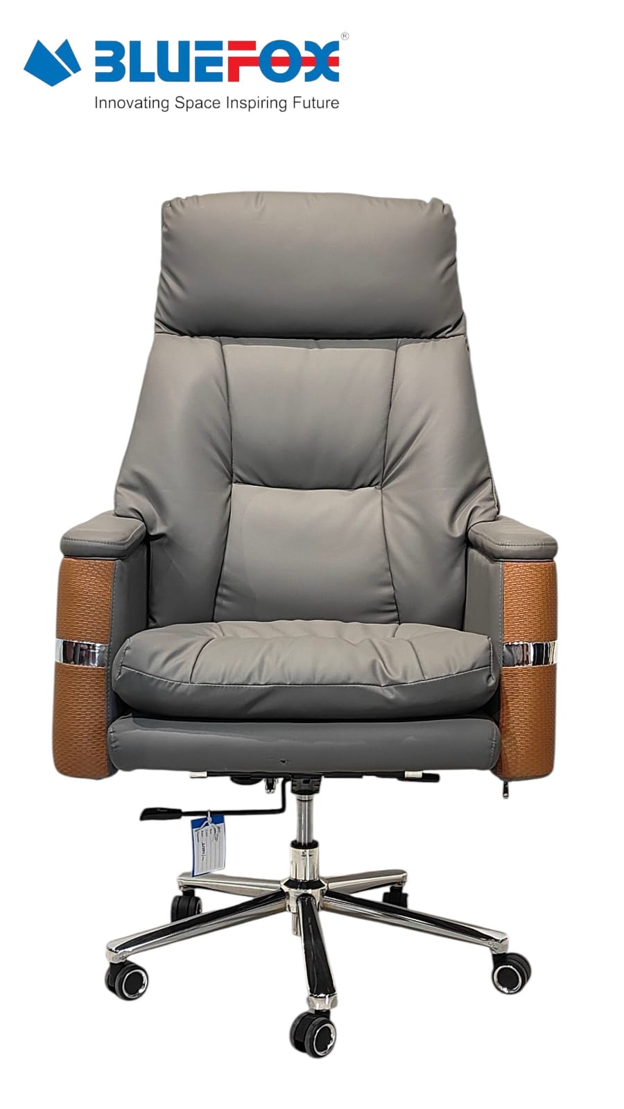 Bluefox Model Director Chair