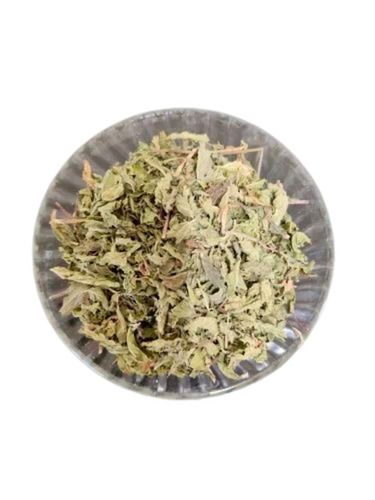 Dried Mint Leaves