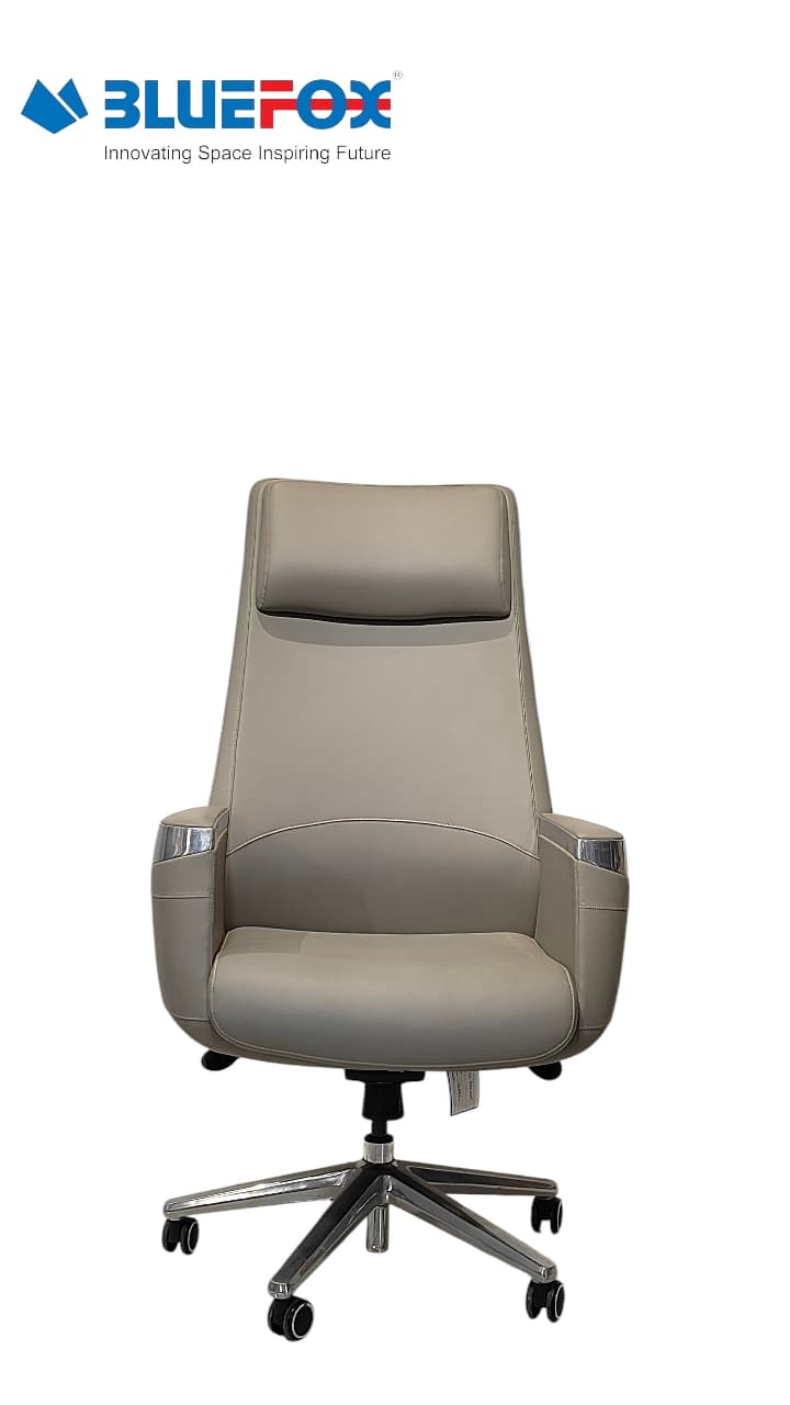 Model Director Chair