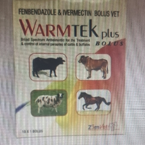 Warmtek plus blous