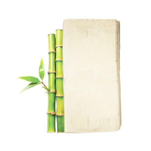 Bamboo Facial Tissues 100 Pulls, Pack Of 3