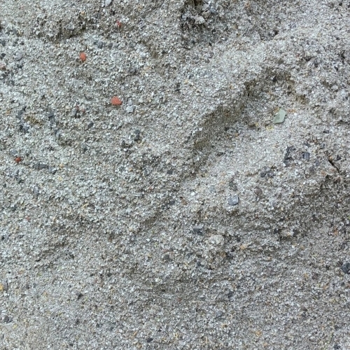 Gray Sand