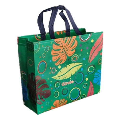 Non Woven Laminated Box Bags - Color: Multicolor