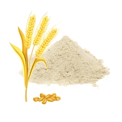Wheat Flour