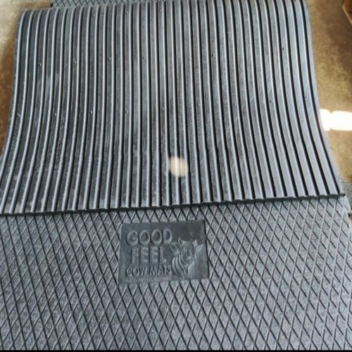 40 Kg Regular Mat - Back Material: Rubber Tpr