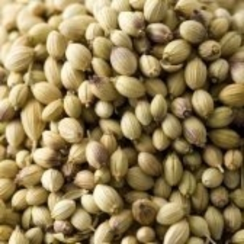 Coriander Seeds