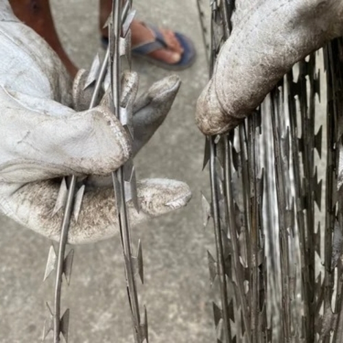 Concertina Coil Fencing