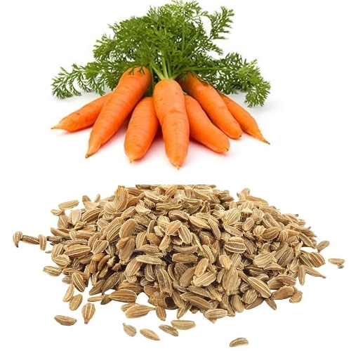 Carrot Seed