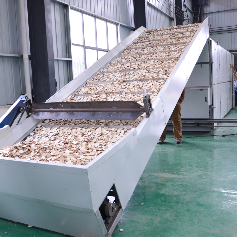 Cassava Drying And Grinding Production Line Mesh Belt Dryer Cassava Dehydration Machine - Color: White