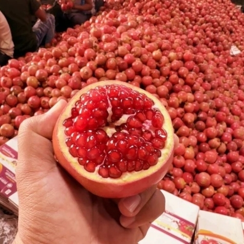 Export quality pomegranate
