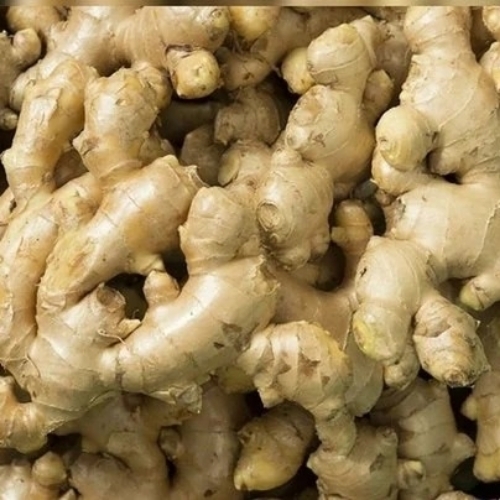 Ginger By Pawar International