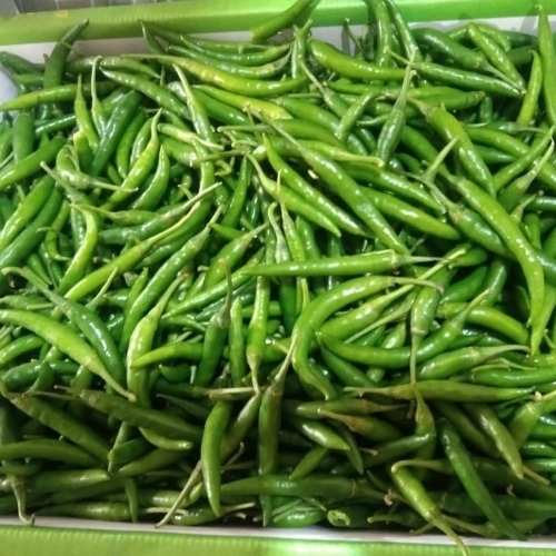Green Chilli