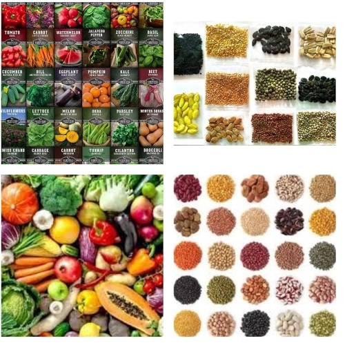 Vegetable Seed By Om Sell Corporation