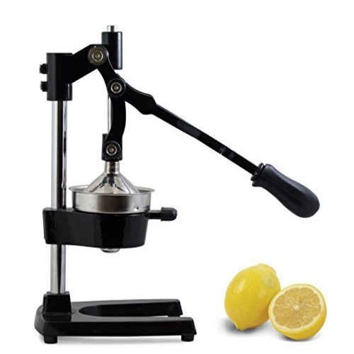 Commercial Juicer