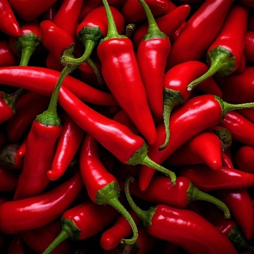 Red Chillies