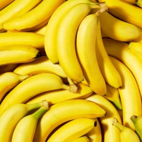 Cavendis banana