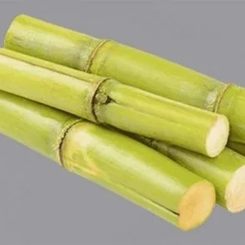 Sugarcane 2