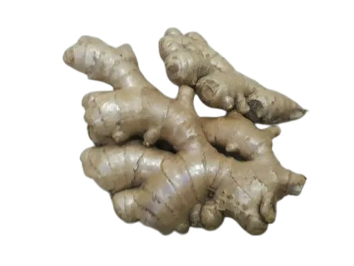 Fresh Ginger