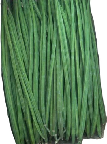 Natural Fresh Drumstick