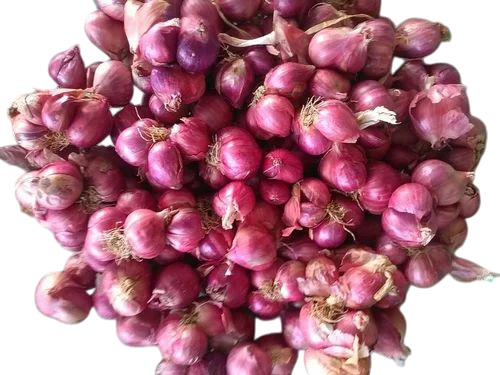 Small Onion