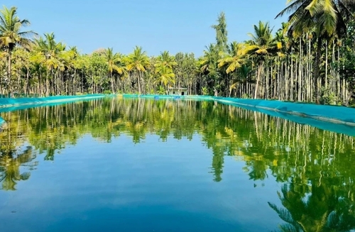 Agricultural Pond Liners