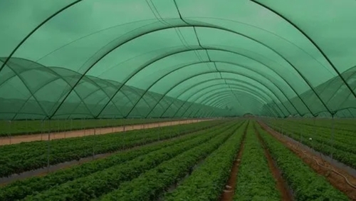Eco Friendly Agro Shade Net