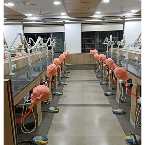 Table Mount Dental Phantom Head