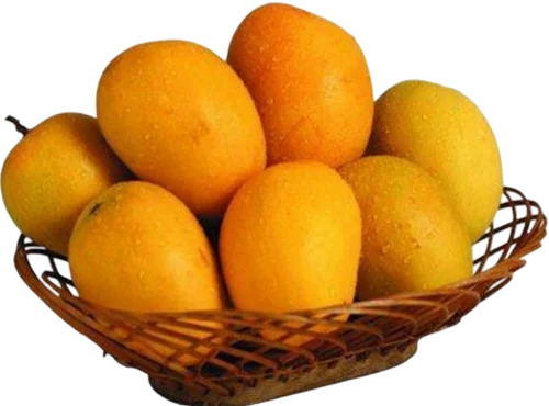 Alphonso Mango