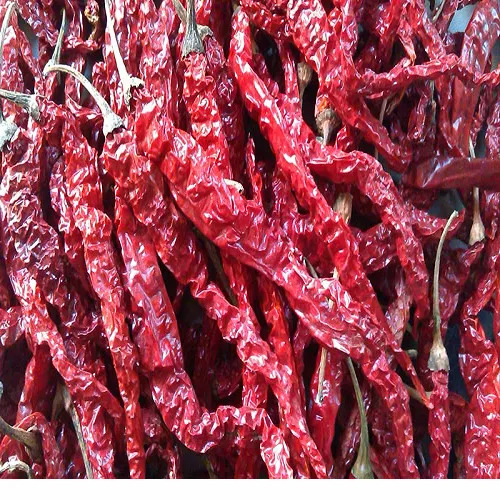 Dried Indian Red Chillies