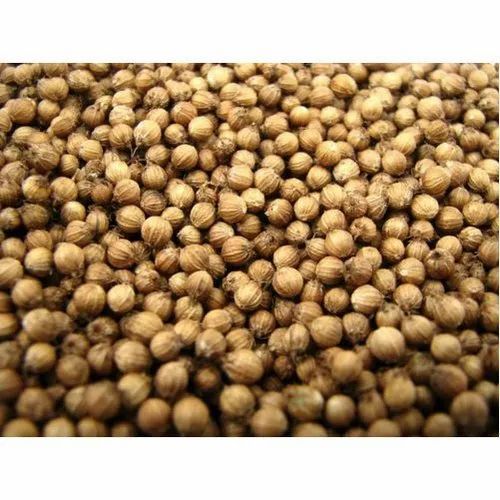 Dry Coriander